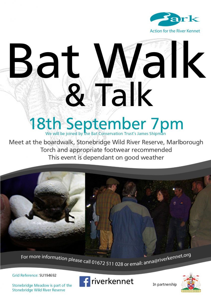 Bat Walk & Talk poster