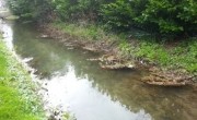 Stop sewage pollution in the Kennet