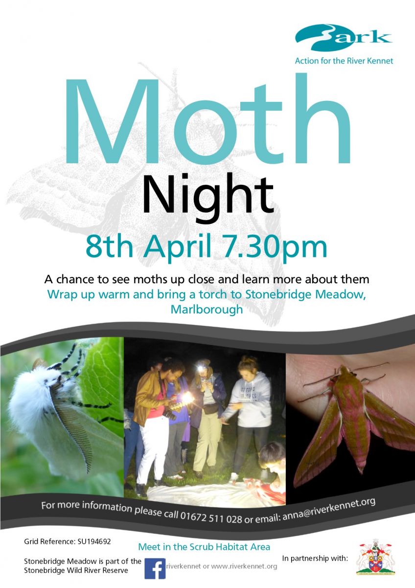 moth night April 2016 poster