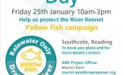 Yellow Fish Come to Reading