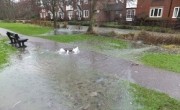 Flooding Pollutes the Kennet