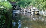 Foudry Brook opened up for fish to swim again